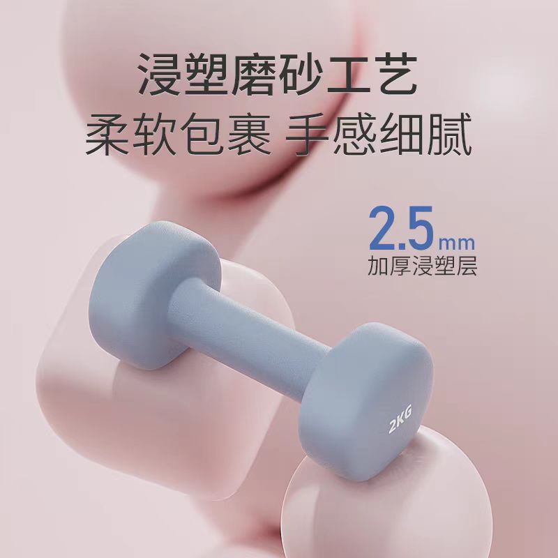Set Dumbbell Wanita 3kg, Peral - Sports Equipment At Home ulasan dan harga