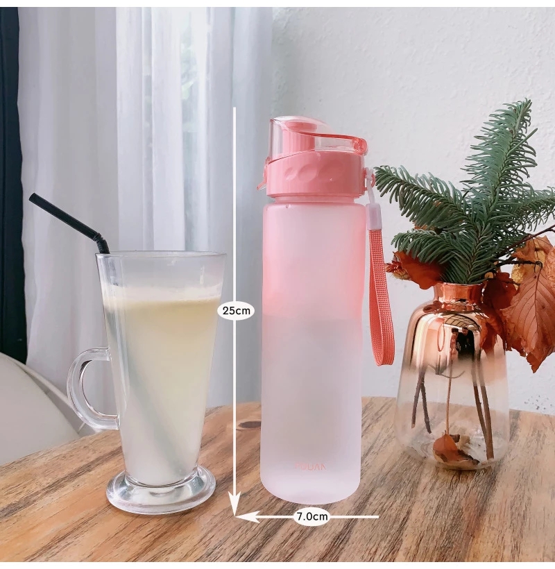 Botol Air Olahraga Warna-warni - Sports Equipment Logos ulasan dan harga